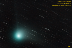 C/2013 US10 Catalina gennaio 2016