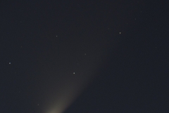 Cometa Panstarrs